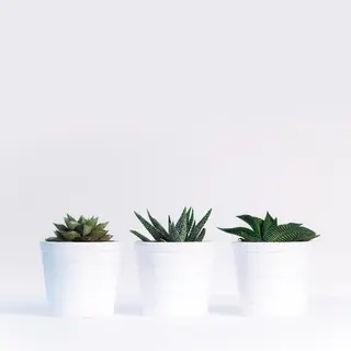 メンズ マツエク・マツパ アイブロウ Lash&brow PORTE269布施店所属・brace 竹田愛海のエステ・リラクイメージ