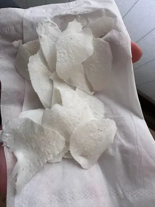 salon Shri所属・salon Shriのマツエク・マツパデザイン