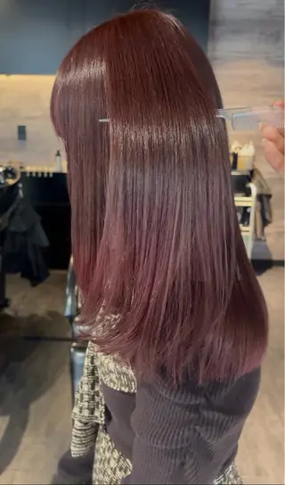 ロング レイヤーカット/韓国 /艶髪/ダブルカラーのヘアスタイル