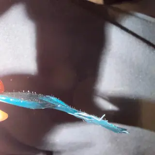 🅖🅤🅩🅔🅛 salonのエステ・リラクイメージ