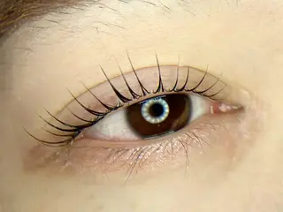 マツエク・マツパ tomte トムテのマツエク・マツパデザイン