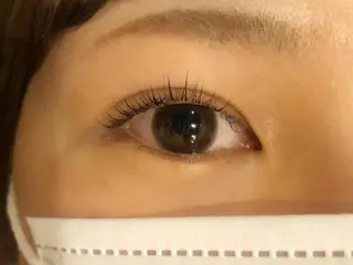 マツエク・マツパ 【Refine】 磯部のマツエク・マツパデザイン