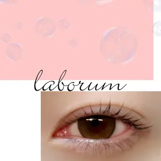 マツエク・マツパ ネイル&まつげエクステTerra 池袋店所属・池袋 すずきのマツエク・マツパデザイン