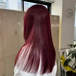 ロング 艶髪ハイトーン× ボブ🥣アイネのヘアスタイル