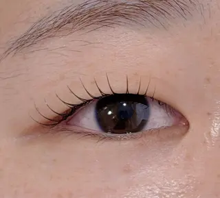 マツエク・マツパ Lil by Fan. 菊池のマツエク・マツパデザイン