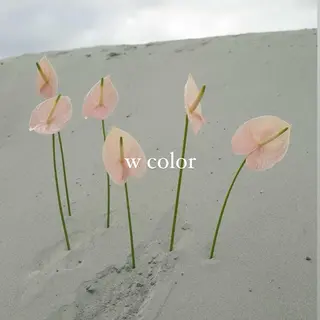 ロング カラー ㅤㅤㅤㅤㅤㅤㅤㅤㅤㅤ 彩衣のヘアスタイル