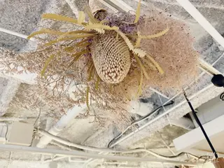 amitie【アミティエ】所属・✴︎✨北区　髪質改善 MIYA✨✴︎のヘアスタイル