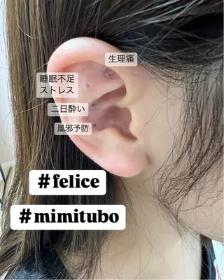 felice フェルーチェのその他イメージ