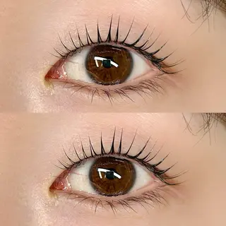 マツエク・マツパ ani 【アニ】所属・ani 【アニ】 恵比寿のマツエク・マツパデザイン