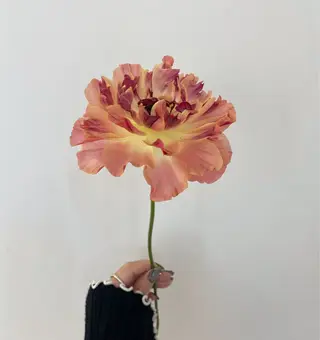 🌻花屋併設🌻濱 幸帆のヘアスタイル