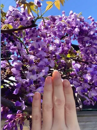 メンズ ネイル ハンドケア＆ネイルケア桃の木所属・ケアリスト🍀 マリユキのネイルデザイン