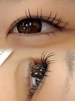 マツエク・マツパ ドーリーラッシュ 小嶌のマツエク・マツパデザイン