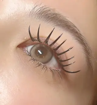 マツエク・マツパ リラコラ所属・リラコラ MEGUMI¨̮♡︎のマツエク・マツパデザイン