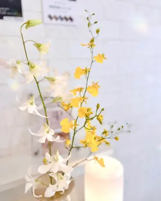 マツエク・マツパ 木場 ＊のマツエク・マツパデザイン