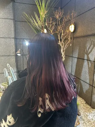 セミロング カラー ꪆৎ平行アーチ ྀི ワカナの眉毛・アイブロウイメージ