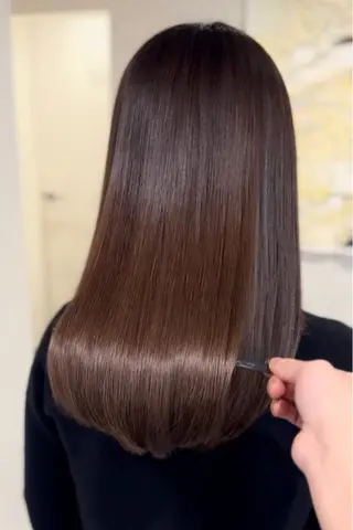 ロング 宝の 髪のヘアスタイル