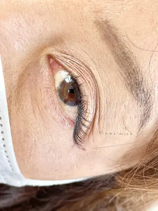 マツエク・マツパ Plume micoのマツエク・マツパデザイン