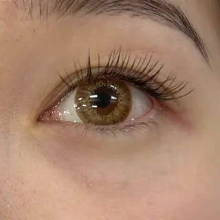 マツエク・マツパ TRU 🎀ANNAの眉毛・アイブロウイメージ