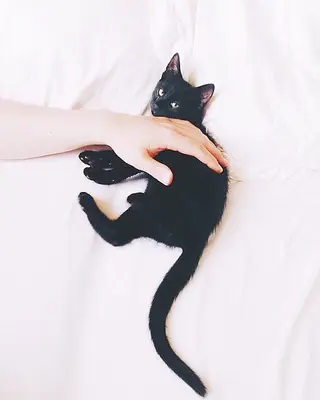 マツエク・マツパ 横浜eyelist Aidaのマツエク・マツパデザイン