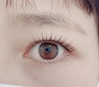 マツエク・マツパ TIARA池袋西口店 店長YASUKA💐のマツエク・マツパデザイン