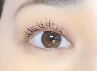 マツエク・マツパ Alii所属・Alii はるきの眉毛・アイブロウイメージ