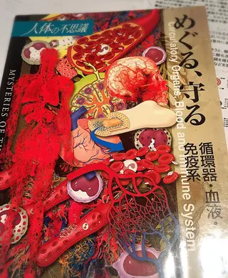 ロング カラー パーマ ヘアアレンジ メンズ キッズ ネイル マツエク・マツパ ‍痩身＆ボディ 結果出し🌟丹野のエステ・リラクイメージ