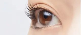 マツエク・マツパ FREIYA所属・FREIYA マツエク、ネイルのマツエク・マツパデザイン