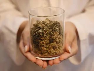 よもぎ蒸し専門店Artemisia所属・よもぎ蒸し専門店 Artemisiaのエステ・リラクイメージ