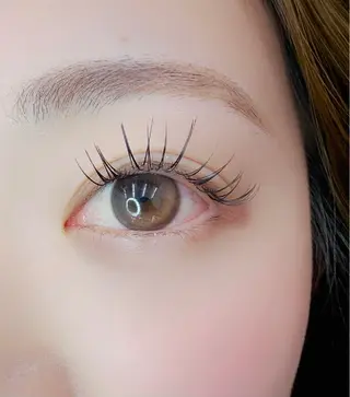 マツエク・マツパ HAYASHI MEI🐶🐾の眉毛・アイブロウイメージ