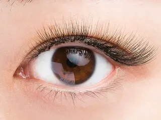 マツエク・マツパ プラスアイ新宿西口駅前店所属・プラスアイ新宿西口 駅前店🍯HIROのマツエク・マツパデザイン