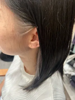 ミディアム レイヤー/韓国/ ハッシュ/高田翼のヘアスタイル