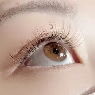 マツエク・マツパ Gypso AYANEのマツエク・マツパデザイン