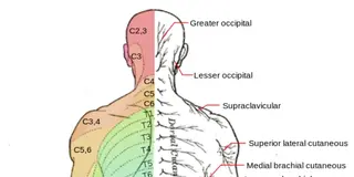 Sept.㐂楽鍼灸整体院所属・鈴木 勇祐のエステ・リラクイメージ