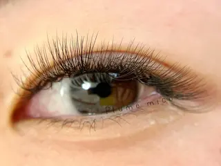 マツエク・マツパ Plume micoのマツエク・マツパデザイン