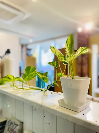 岩谷 美香のヘアスタイル