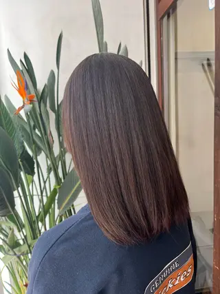 セミロング 透明感/低ダメージ インナー🩵角田紗雪のヘアスタイル