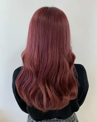 ロング カラー ハイトーン/ウルフ /レイヤー/坂野幸伸のヘアスタイル