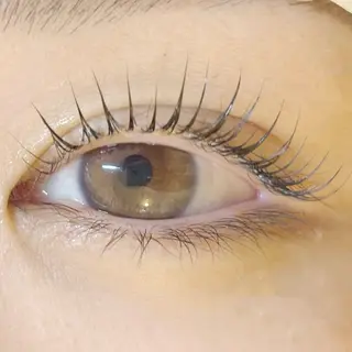 マツエク・マツパ 仙台まつ毛エクステサロンdesignK泉中央店所属・designK佐藤 心咲の眉毛・アイブロウイメージ