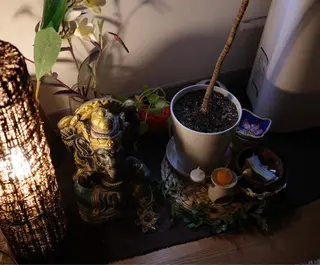 Plumeria （プルメリア）川口のエステ・リラクイメージ