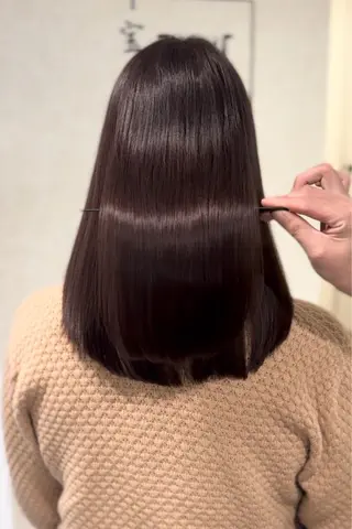 セミロング カラー 宝の 髪のヘアスタイル