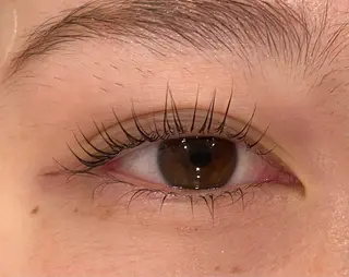 マツエク・マツパ Daisy lash 京橋店堀井のマツエク・マツパデザイン