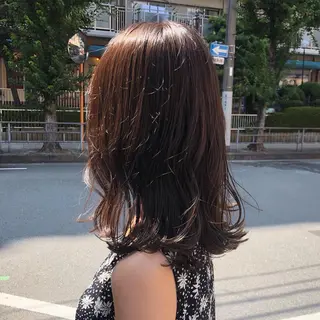 セミロング カラー ヘアアレンジ 酸性縮毛矯正🧴韓国 レイヤー/髪質改善のヘアスタイル