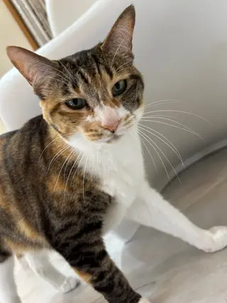 Rika _のネイルデザイン