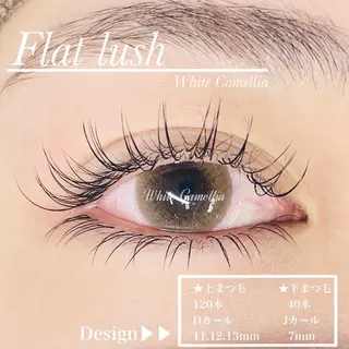 マツエク・マツパ 韓国風束感まつ毛 🫧Akaneのマツエク・マツパデザイン