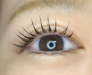 マツエク・マツパ Stella  Lashのマツエク・マツパデザイン