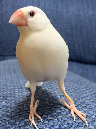 g*rossa高橋 くみこのエステ・リラクイメージ