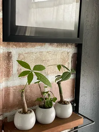 小顔矯正サロン　クレール所属・小顔矯正専門サロン クレールのエステ・リラクイメージ