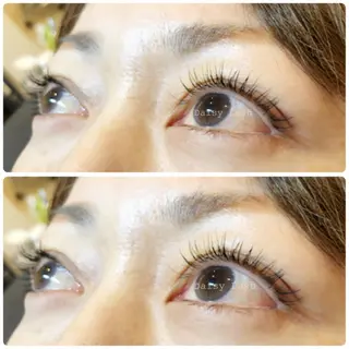 マツエク・マツパ Daisy Lash 梅田本店のマツエク・マツパデザイン
