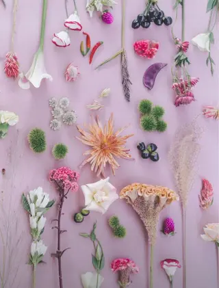 POLA　R-isa所属・小顔 🌿R-isa森井のエステ・リラクイメージ