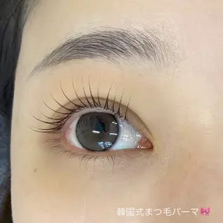 マツエク・マツパ まつげパーマ/美眉毛サロン Lume 銀座 【ルーメ】所属・玉村 奈都美のマツエク・マツパデザイン